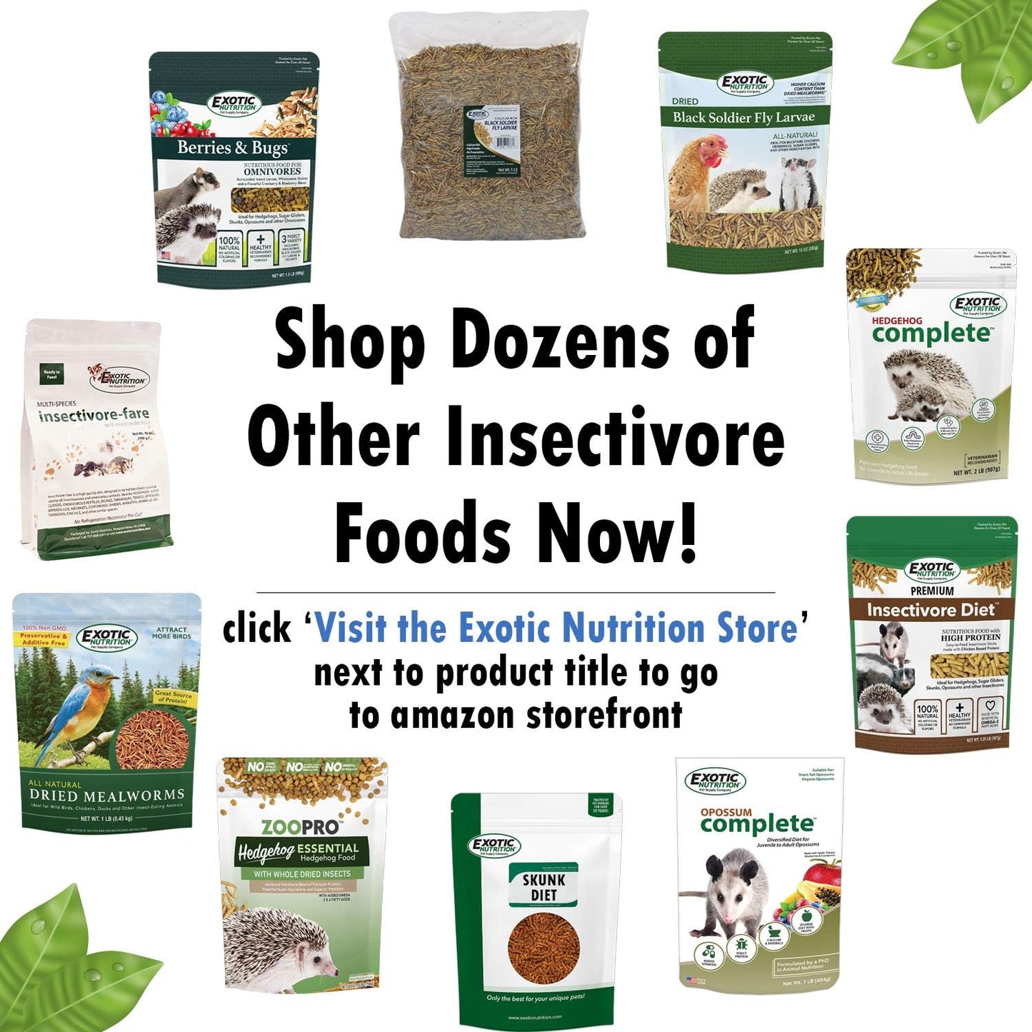 Berries & Bugs (10 lb.) - All Natural High Protein High Fiber Insectivore Diet with Fruit, Gut-Loaded Insects, & Healthy Vitamins - Hedgehogs, Sugar Gliders, Skunks, Opossums & Other Insectivores